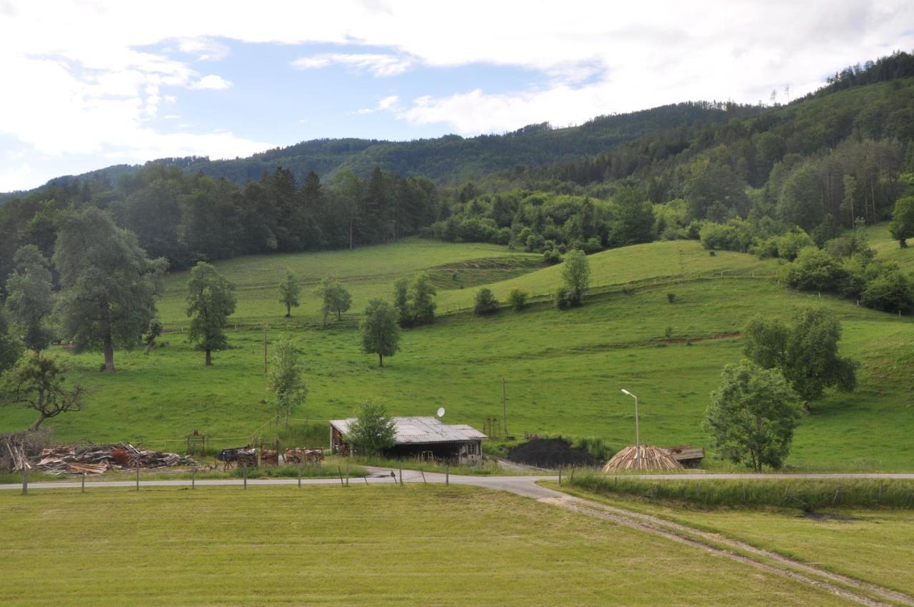 Mostheuriger Steyrdurchbruchalm Leonstein Exterior photo
